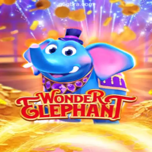 Discovering WonderElephant: Dominating the G5G.COM Platform as Brazil's Premier Online Casino